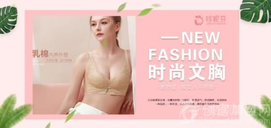珍妮芬内衣