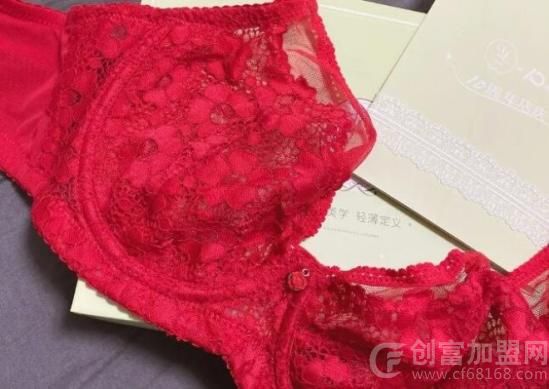 怡倩内衣