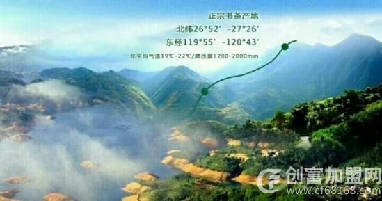 中国书茶