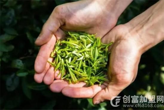 茶业