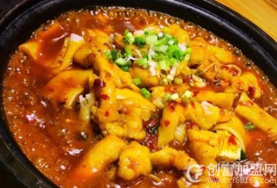 煲发户啵啵鱼