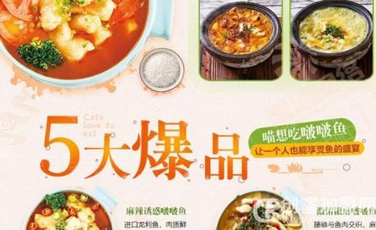 喵想吃啵啵鱼