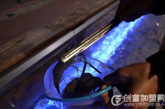 流水虾海鲜自助