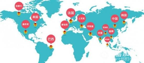 枫叶小熊幼儿园