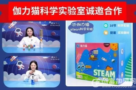 伽力猫steam科学实验
