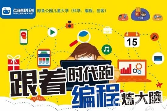 点鲸科创
