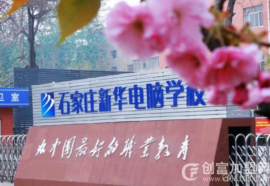新华教育