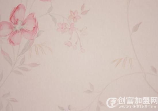 乐居雅液体墙纸