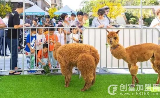 动妖局萌宠乐园