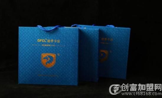 迪孚卡乐皮具护理