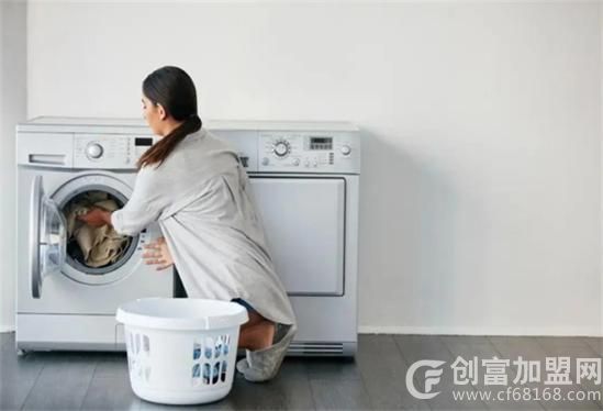 白兰花洗衣