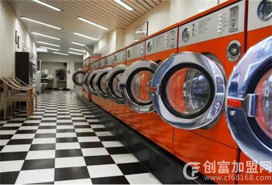 阿莱尼洗衣