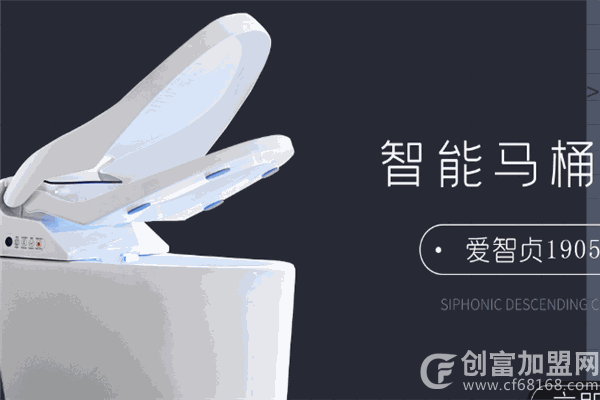 爱智贞