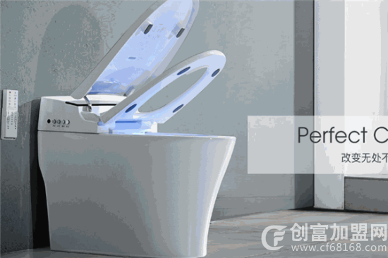 爱智贞