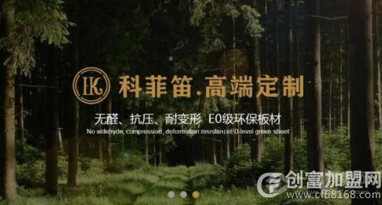 科菲笛全屋定制
