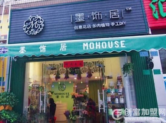墨饰居植物手工DIY