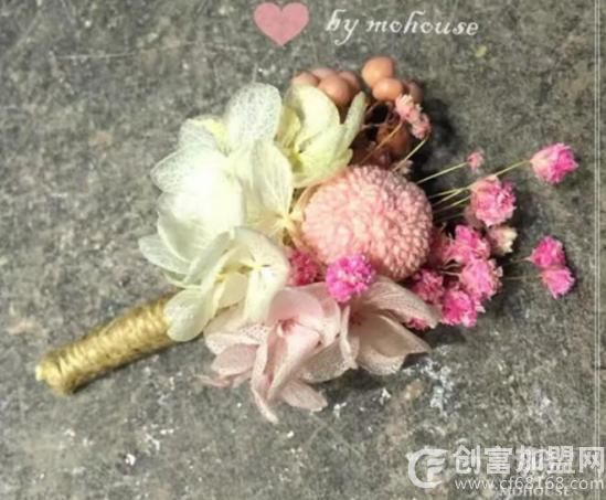 墨饰居植物手工DIY