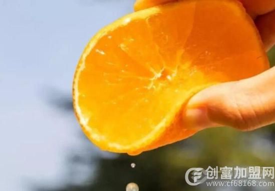 5个橙子自动榨汁贩卖机