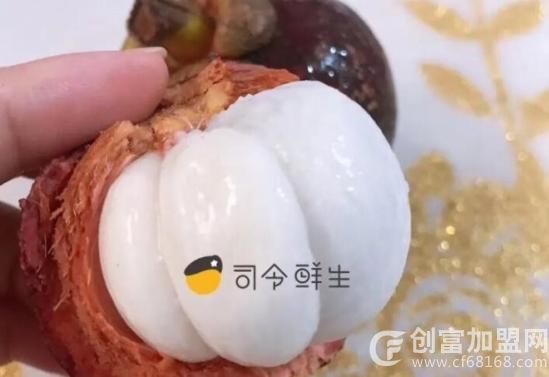 司令鲜生