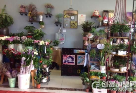 广东天涯网络电子商务有限公司